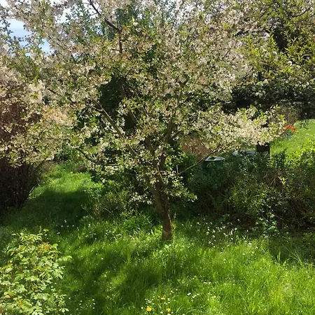 Appartement Wohlfuehloase Nickern *