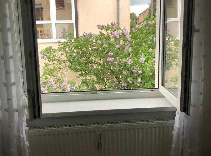 Wohlfuehloase Nickern Drážďany